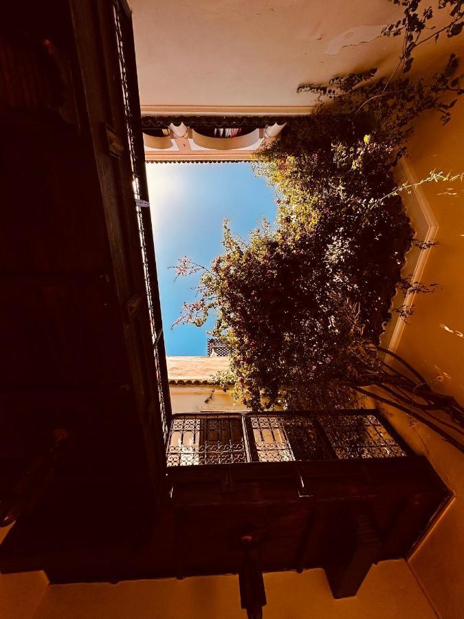 Riad Msholidays Bassin Privatise Marrakech มาร์ราเกช ภายนอก รูปภาพ